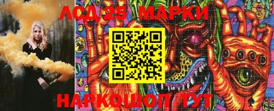 стаф Кулебаки
