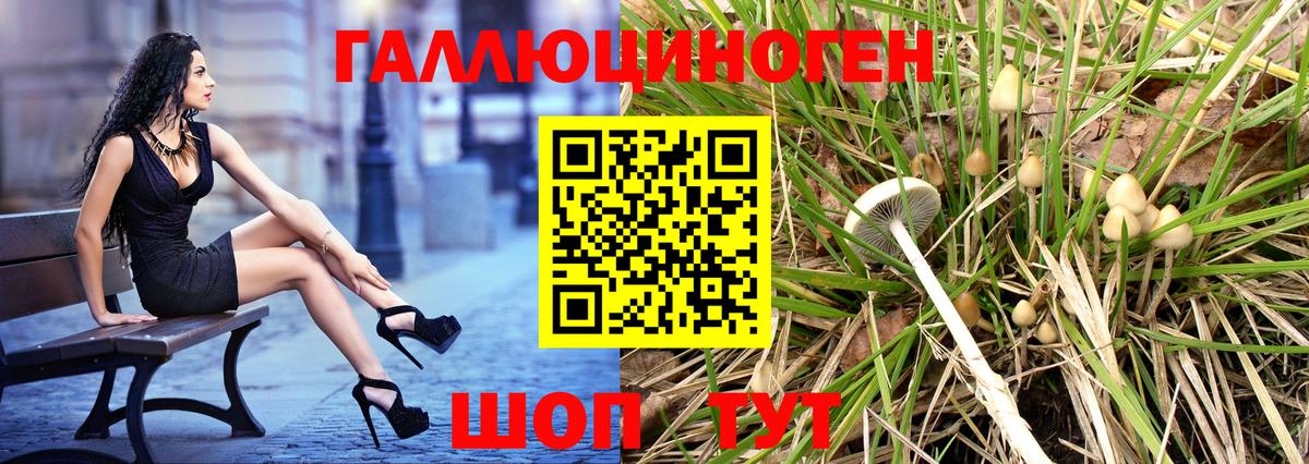 Ишим  Галлюциногенные грибы GOLDEN TEACHER  Вход с VPN 