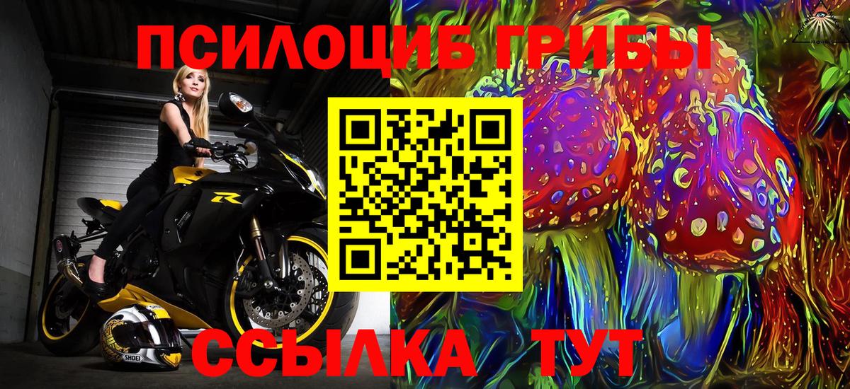 Псилоцибиновые грибы Psilocybine cubensis Ишим